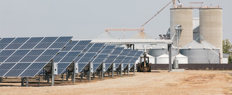 Many solar panels in front of Gorrill rice drying facilities